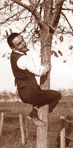 albero